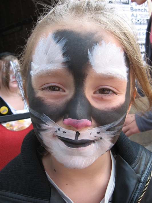 Another Black and White Cat