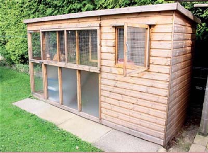 Cat Pen