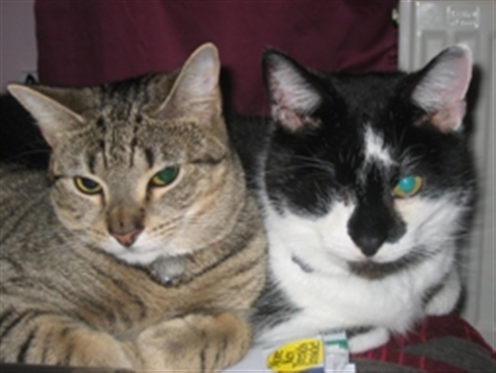 George and pal