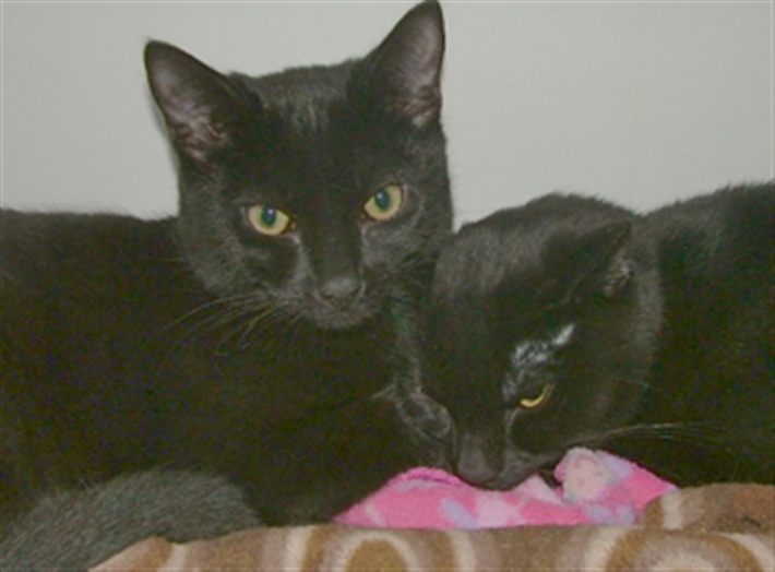 Heather (right) with her son Smiley