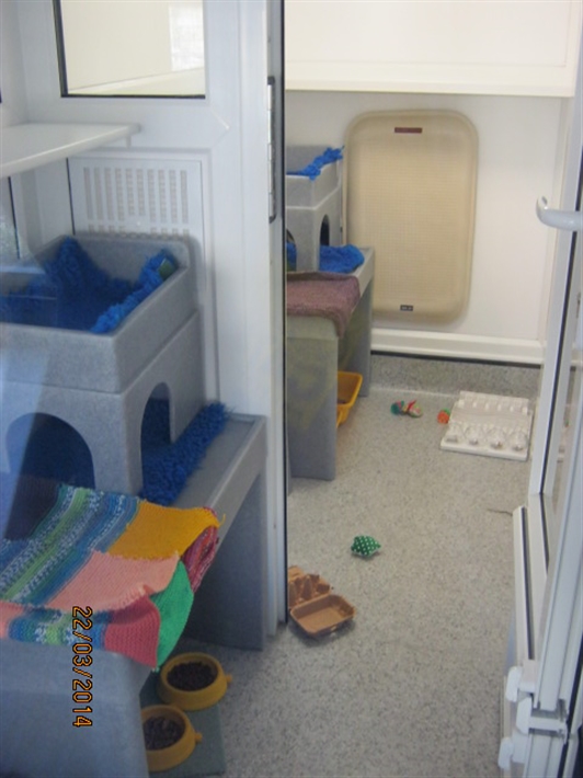 Cattery Pen