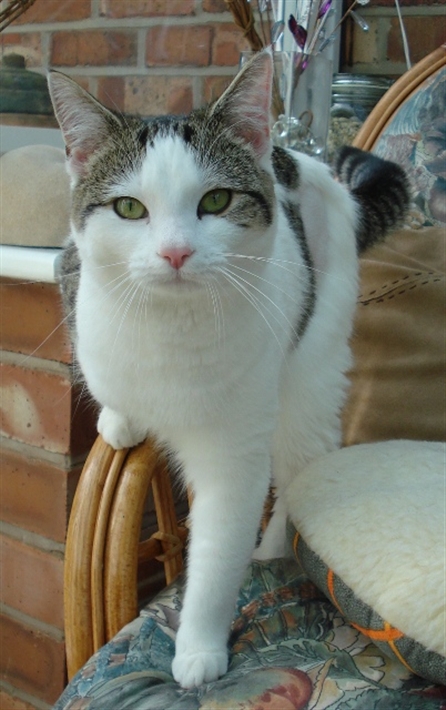 Isla found her forever home earlier this year