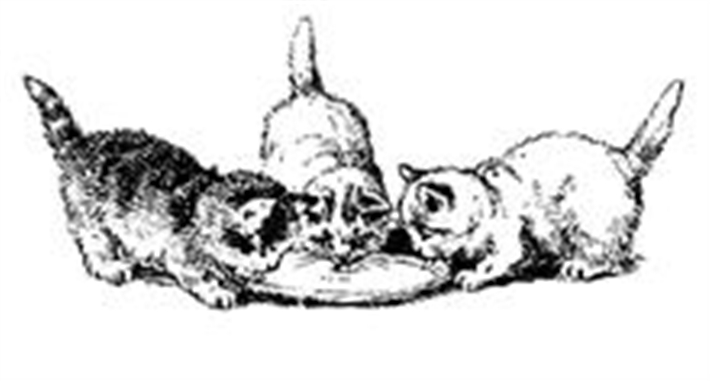 KCC