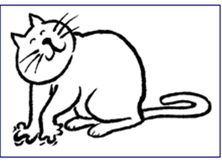 Cat kneading