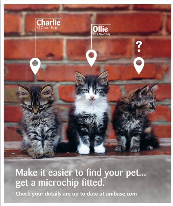 Microchipping Reminder Image - 3 cats