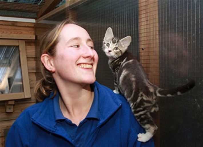 Happy kitten with happy volunteer