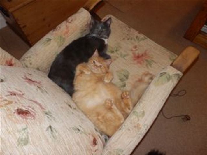 This is comfy