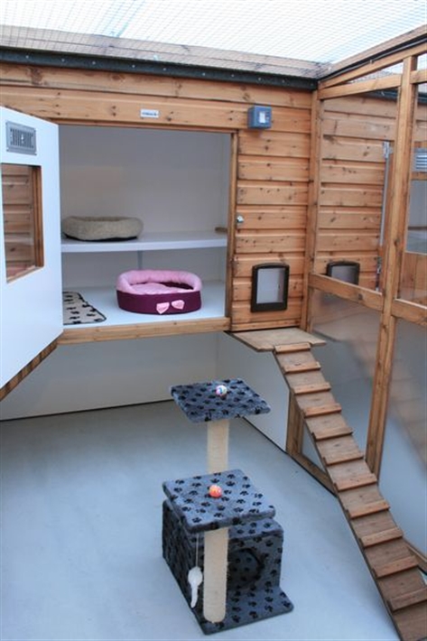 Cat Pen