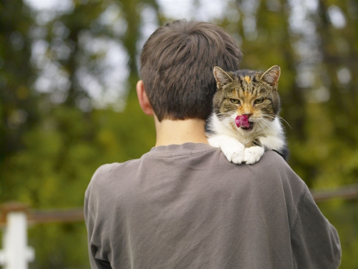 Cat on boys' shoulder