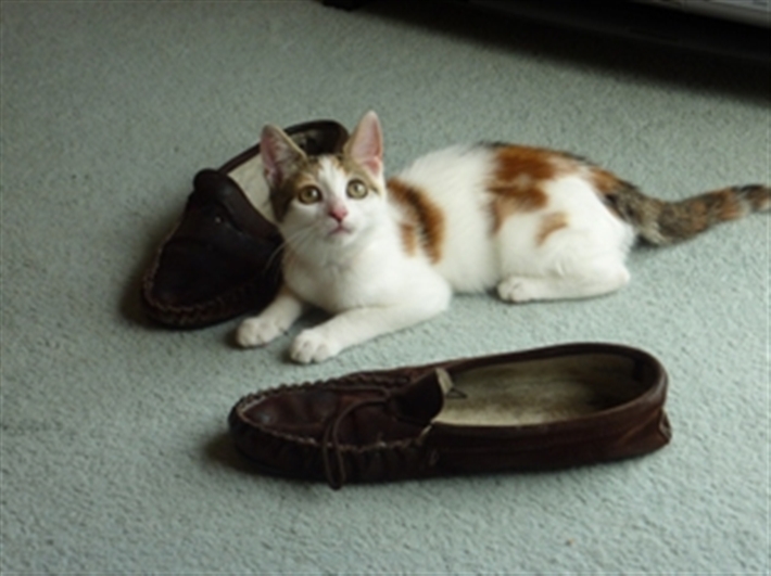 Ruby with slippers
