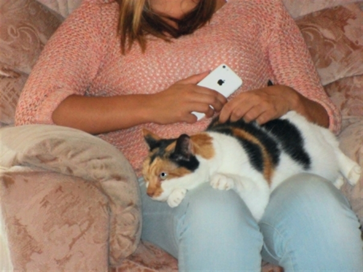 Older cats need homes too