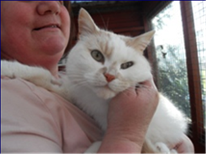 Teilo enjoying a cuddle