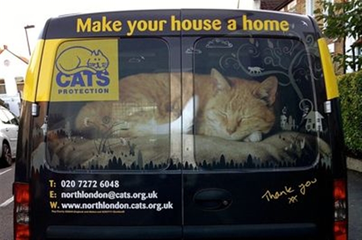 The back of the cat van reads Make your house a home