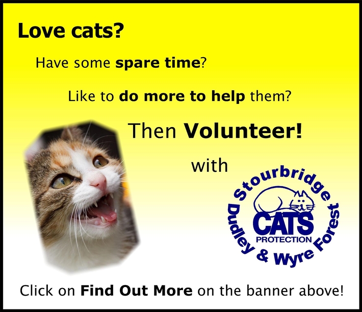 to Cats Protection Stourbridge, Dudley and Wyre Forest Branch