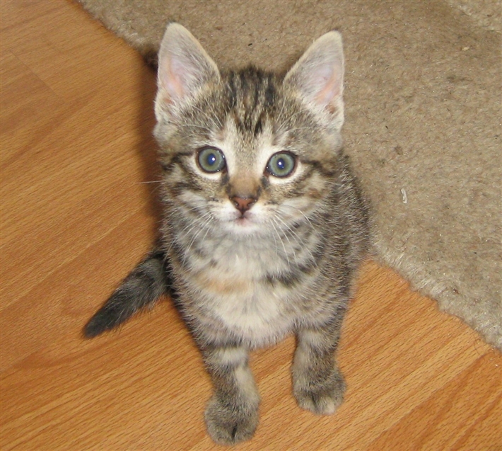 one of our little charges
