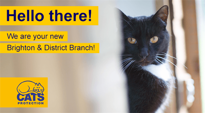 We are Cats Protection Brighton & District!