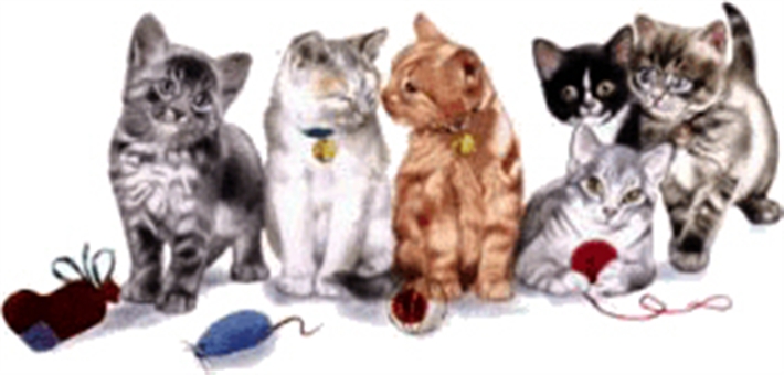 Welcome to Cats Protection