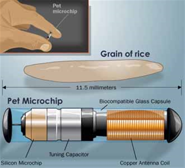 Microchip Details