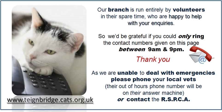 Cats Protection Lottery Numbers Cats Protection Lottery Numbers