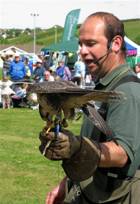 Falconer