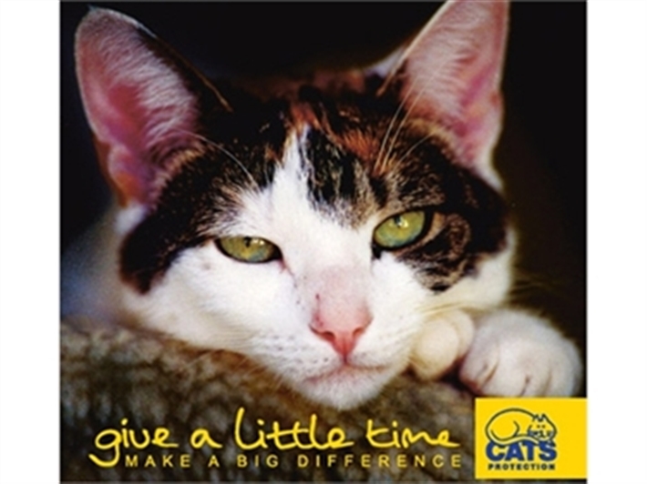 Cats Protection Birmingham Phone Cats Protection Birmingham Phone