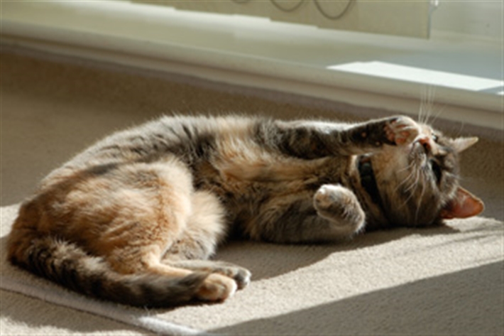 Lying outstretched
