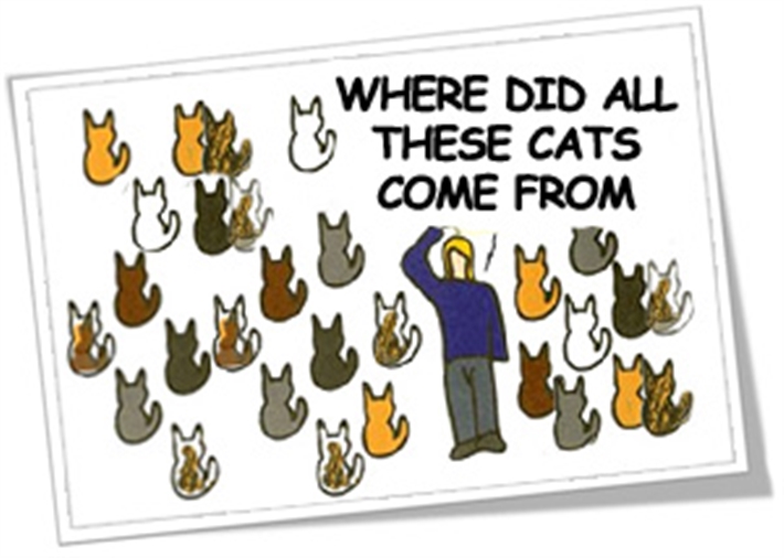 benefits of neutering a neutering benefits benefits of neutering a neutering benefits