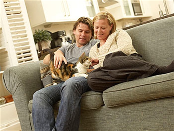 Adoptees on sofa with cat