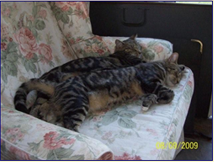 Samson and Delilah