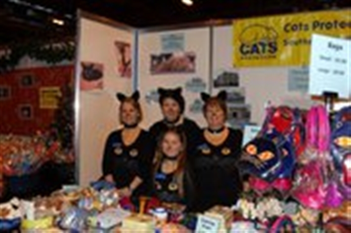 Cat Protection Jumble Sale Sale November Cat Protection Jumble Sale Sale November
