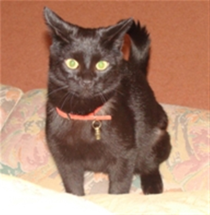 Tilly