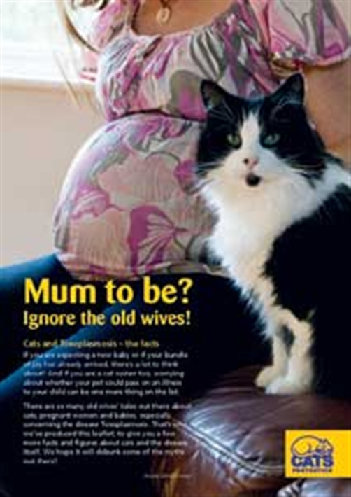 Pregnant Woman And Cats 84