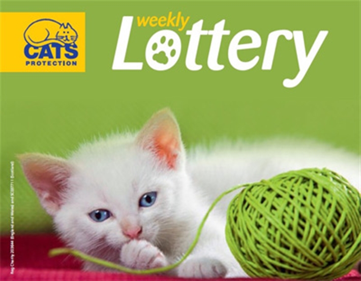 Cats Protection Lottery Winners Cats Protection Lottery Winners