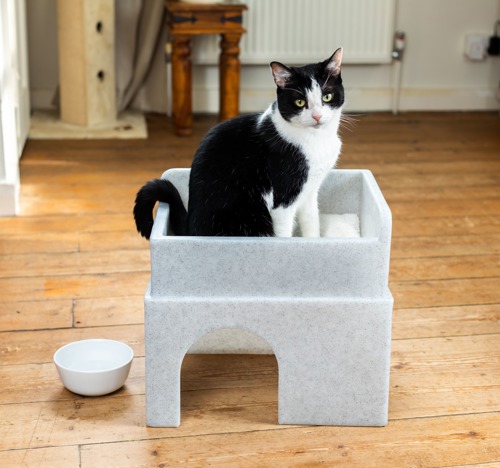 black-and-white cat sat on top of Cats Protection Hide & Sleep grey plastic cat hide, which is sat on a wooden floor with cat food bowl next to it
