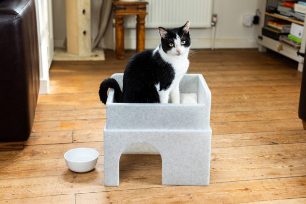 How to choose the perfect cat bed