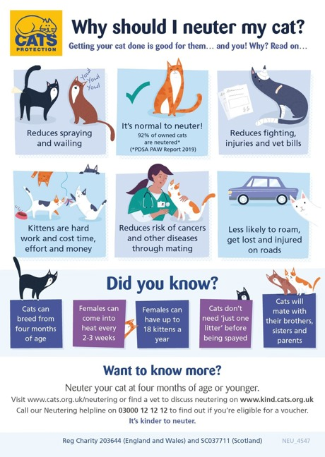neuter cat infographic
