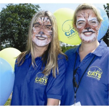 Volunteers with facepaint