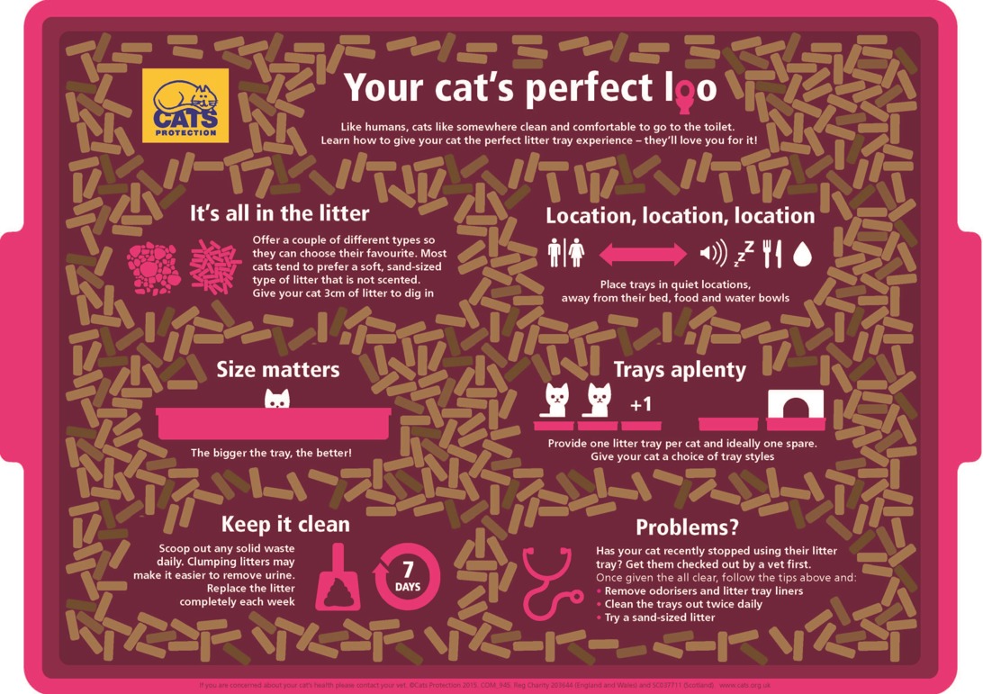 Cat litter tray graphic vet advice