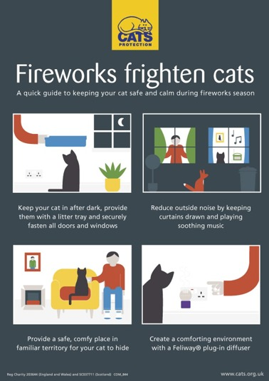 Dangers of Fireworks for Cats graphic