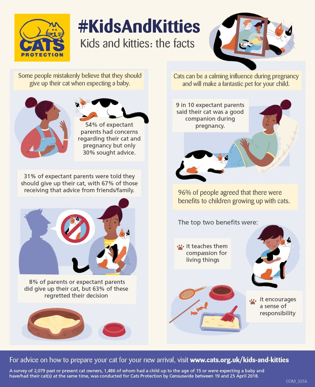 Visual guide on keeping your cat when pregnant and expecting