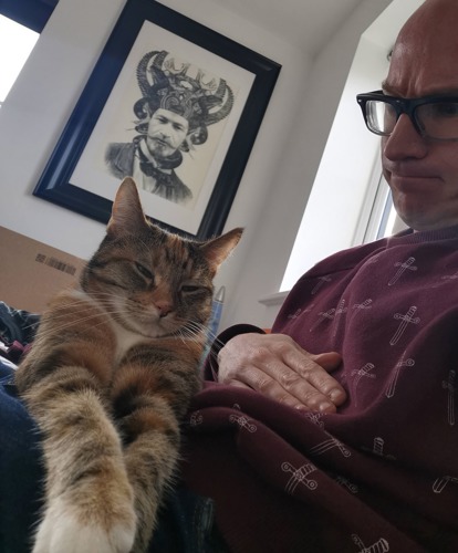 tabby-and-white cat sat on lap of man wearing red jumper