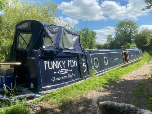 navy blue canal boat moored next to grassy riverbank. Text on side of boat reads 'Funky Fish Gloucester Docks'