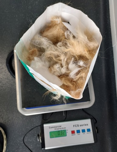 bag of matted ginger cat fur on weighing scales that read 0.32kg