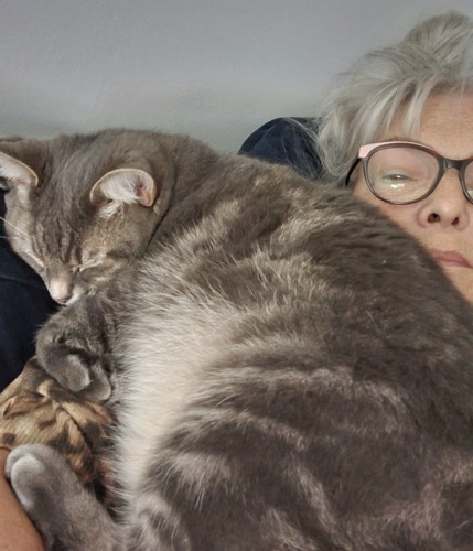 grey-and-white tabby cat asleep on grey-haired woman's chest