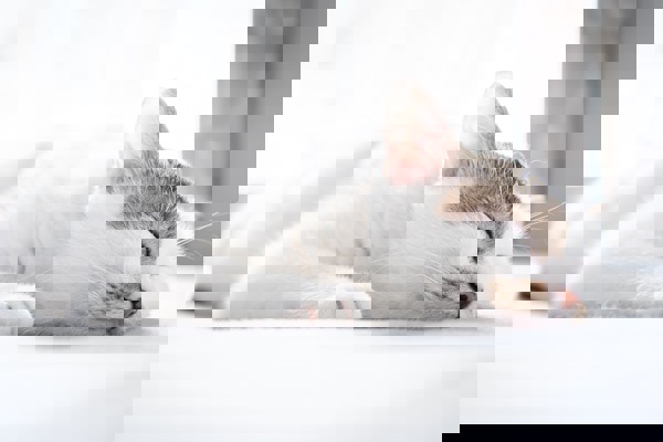 Blog post image