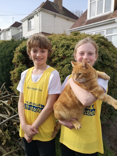 young brunette boy and blonde girl wearing yellow Cats Protection running vests. The girl is holding a ginger tabby cat