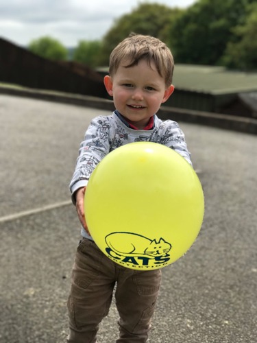 young boy with short brown hair holding yellow Cats Protection balloon