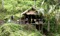 Sumatra Jungle Trek and Tiger Conservation Project 2023
