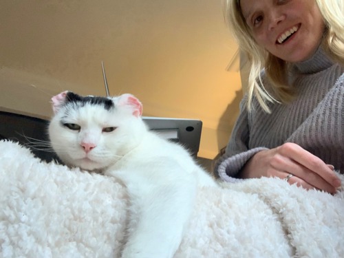 black-and-white cat sat on white fleece blanket with blonde woman in background