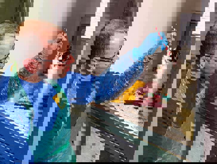 Join us as a centre volunteer Support us Cats Protection